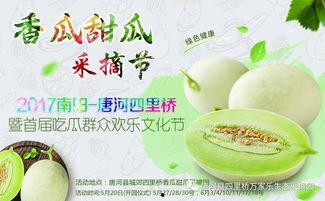 网红吃瓜大集合视频大全,揭秘热门视频背后的精彩瞬间